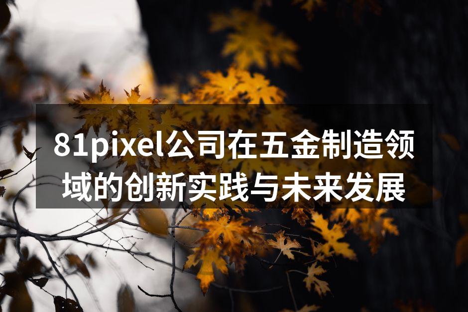 81pixel公司展示的最新智能制造设备